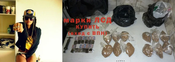 гидра Киренск