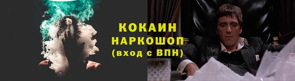 гидра Киренск