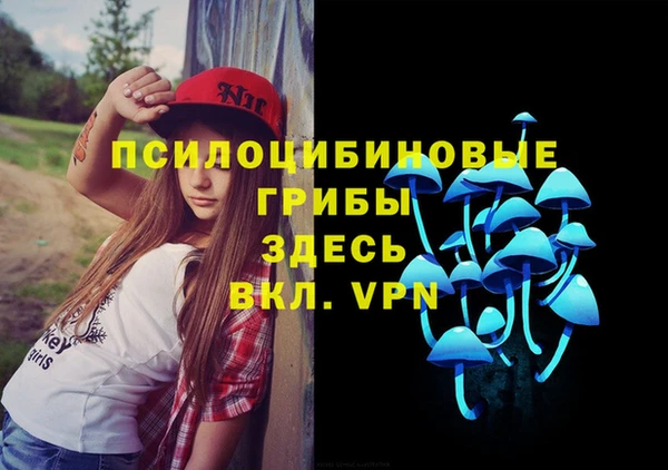гидра Киренск