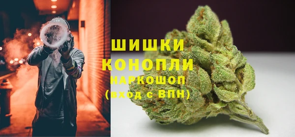 гидра Киренск
