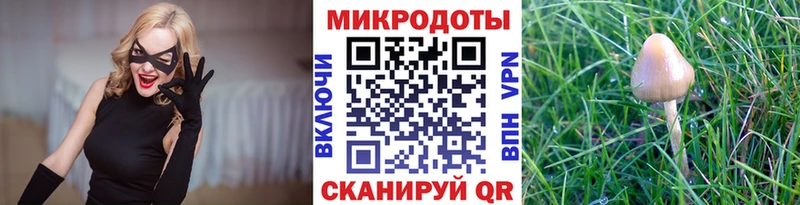 Купить  Нарткала  Псилоцибиновые грибы ЛСД 
